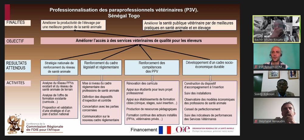 site de rencontre pour vétérinaire