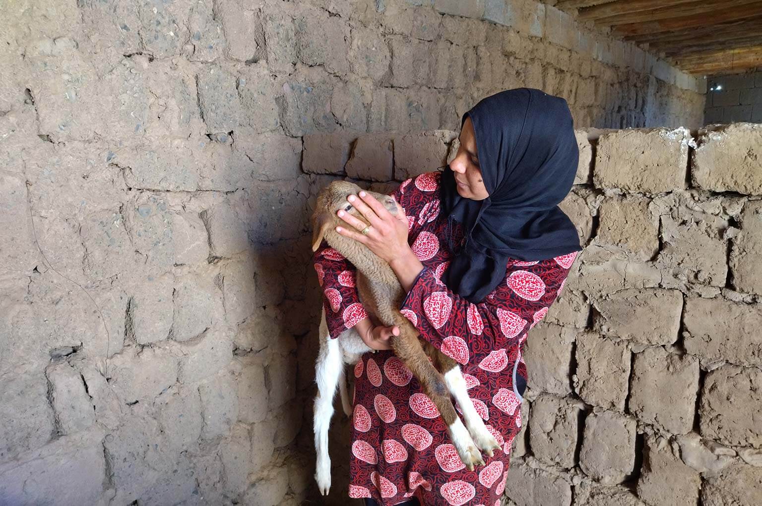 Témoignage de Fatima, jeune éleveuse de moutons à Soukra au Maroc