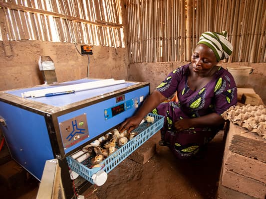 Aimée éleveuse de volailles avec son incubateur