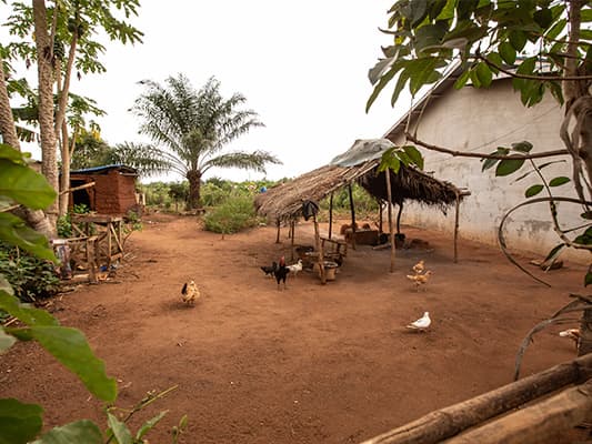 Village Veha Benin Aimée éleveuse volailles