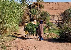 news-diagnostic-agroecologie-maroc